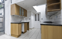 Lions Green kitchen extension leads